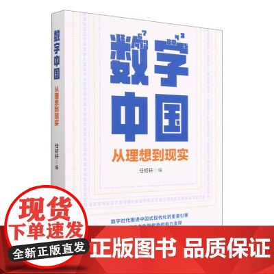 数字中国:从理想到现实
