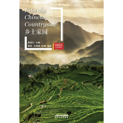 醉染图书乡土家园(新版)/当代中国微记录9787513816359
