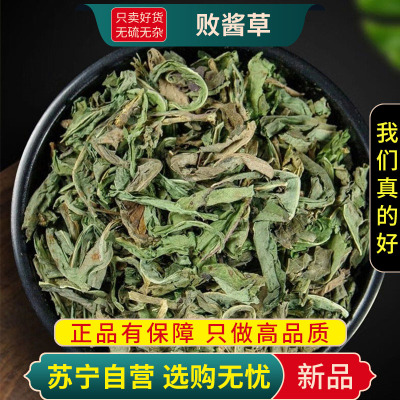 败酱草100克干货新货官方店马草苦菜黄花山白菜不败酱草白花败酱草