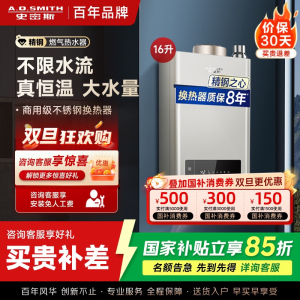 史密斯 16升燃气热水器 不锈钢换热器8年包换 负压燃烧更安全 恒温大水量 家用5系列