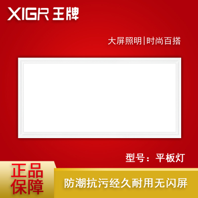 XIGR王牌 智能电器 平板灯 集成电器平板LED灯多功能卫生间厨房