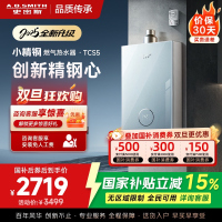 史密斯佳尼特[小精钢TCS5]16升精钢燃气热水器 国家补贴 JSQ31-TCS5 安全守护 持久恒温大水量 新品