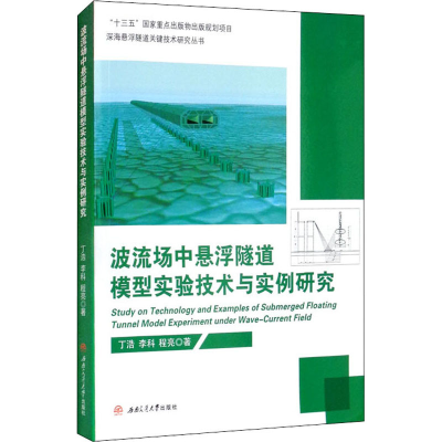 醉染图书波流场中悬浮隧道模型实验技术与实例研究9787564378141