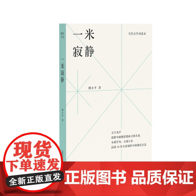 一米寂静 傅小平/著 当代文学对话录 访问记 莫言 贾平凹 访谈录 文学 文学评论 中国当代 世界当代 作家