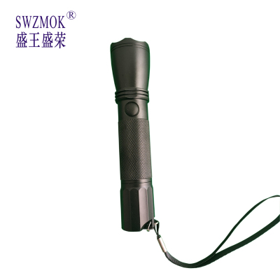 盛王盛荣 强光防爆电筒