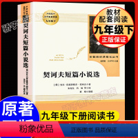 契诃夫短篇小说选--人民教育出版社 [正版]简爱儒林外史2本套装人民教育出版社语文九年级下册阅读必经典文学丛书初中学生自