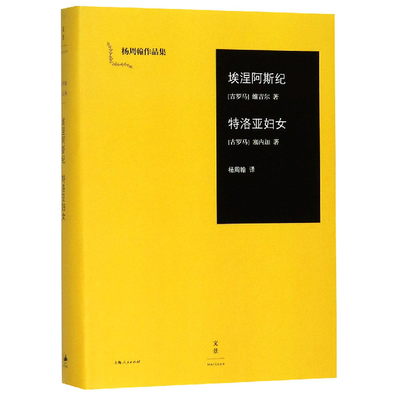 音像埃涅阿斯纪特洛亚妇女(精)/杨周翰作品集维吉尔