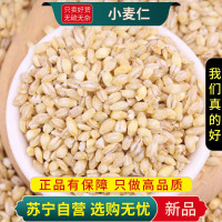 甄选新货小麦仁100克农家带胚芽去皮小麦粒小米煮粥杂粗粮家用优质