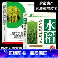 [正版]现代水稻高产优质栽培技术育秧移栽良种繁育基础知识育秧技术移栽生产机械应用稻田病虫害防治措施农业种植技术大全杂草防