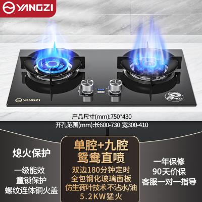 扬子燃煤气灶炉双灶家用天然气液化气猛火灶台式嵌入式 荷叶涂层5.2kW鸳鸯直喷_天然气