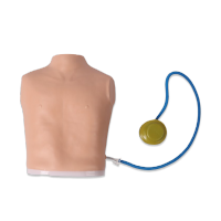 恒则卫勤 OF-L66气胸穿刺和液胸引流模拟训练模型气胸穿刺与淋巴结穿刺器材