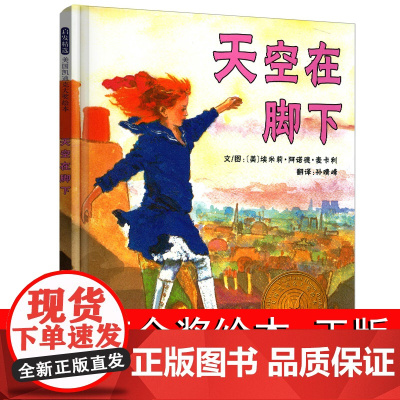 天空在脚下 凯迪克金奖挫折教育绘本 关于坚持梦想 精装硬壳3-6-8-10岁 二三四年级阅读课外书必读幼儿童故事书麦卡利