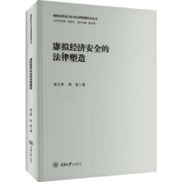 音像虚拟经济安全的法律塑造靳文辉,陈誉著