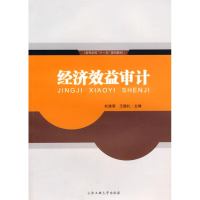 醉染图书经济效益审计9787565001505