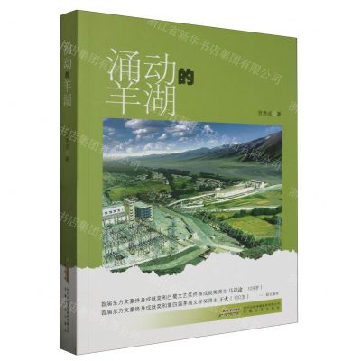 [N]涌动的羊湖-9787539675961