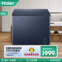海尔(Haier)201升家用卧式冰柜冷柜小冰箱 巨能冻 黑金净化抗菌 双翼驭风鲜冻科技 BC/BD-201WGHED