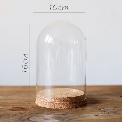 美帮汇软木塞玻璃罩 装饰摆件微景观干花标本公仔玩偶瓶DIY G(10cmX16cm)