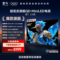 雷鸟 鹤7 25款85英寸 0.5%LR低反膜QD-MiniLED HVA屏一级能效家电 国家补贴 电视机85R695C