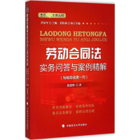 音像劳动合同法实务问与例精解段建辉 著