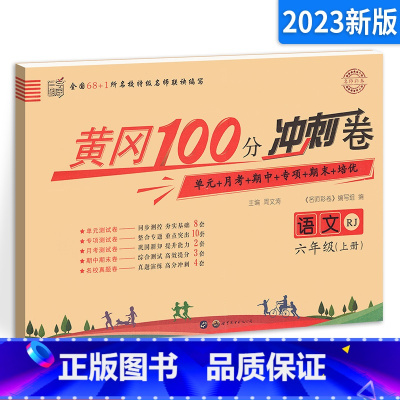 六上 语文试卷 小学通用 [正版]2023新版 魔卡阅读三四年级五六年级一二年级上册下册 语文英语阅读理解训练题 典中点