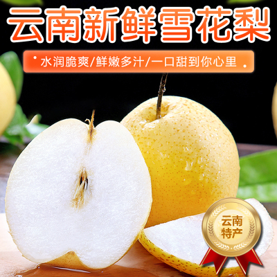 [西沛生鲜]云南新鲜雪花梨 净重9斤 中果 单果150-200g 新鲜脆梨水果当季现摘现发雪花梨孕妇水果头茬新果
