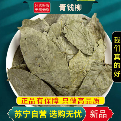 甄选青钱柳叶100克干货正品青钱柳古树金钱柳茶搭牛蒡玉米须桑叶
