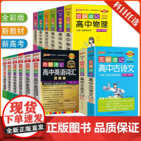 2024新]绿卡图解速记高中英语词汇必备3500词乱序版高考英语必备词汇3500词基础知识手册高考单词高一高二三高中英语