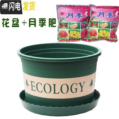 三维工匠塑料玫瑰盆栽花肉肉绿萝月季专用加伦树脂家用特大号超大加仑花 [3个盆]+月季肥3包 矮胖7.6L(口径2花盆容器