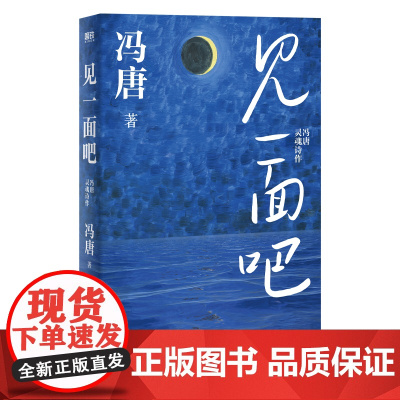 见一面吧 冯唐新书 有本事了不起无所谓胜者成事心法成事金线活着活着就老了 现代文学散文随笔诗歌集正版书籍