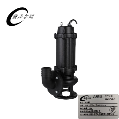冀泽尔瑞 污水泵 JZER - 380v-2.2KW-80mm 台