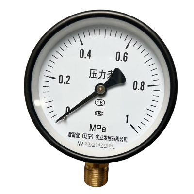 DXP 压力表(0-1)Mpa 块
