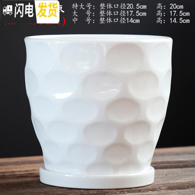 三维工匠北欧花盆陶瓷带托盘大号特大号白色简约个性绿萝多肉花盆 TX钻石白-雨点 中等花盆容器