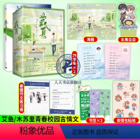 [正版]盛夏+藏夏 木苏里/艾鱼 著 江添x盛望 青春洋溢校园热烈轻狂 骆夏x向暖 暖心治愈之作校园暗恋成真青春言情小