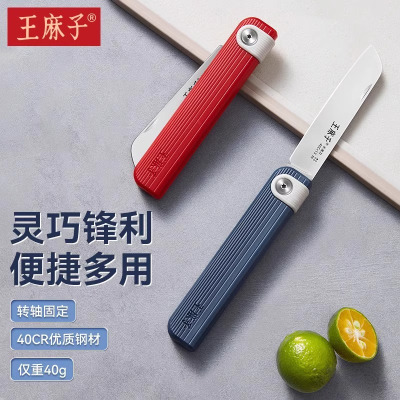 王麻子水果刀家用迷你折叠随身小刀不锈钢削瓜果刀具大全便携刀子