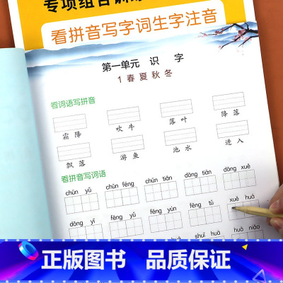 一年级上+下看拼音[2本] 小学一年级 [正版]看拼音写词语一年级下册 人教版小学1年级下语文专项训练同步练习册一课一练