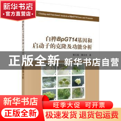 正版 白桦BpGT14基因和启动子的克隆及功能分析 曾凡锁,詹亚光著