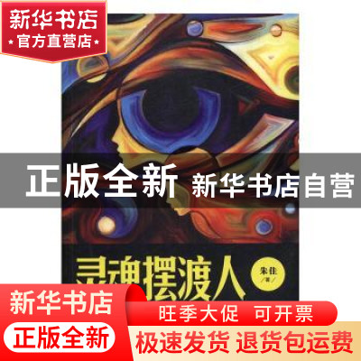 正版 灵魂摆渡人:重口味心理咨询实录 朱佳著 文汇出版社 9787549