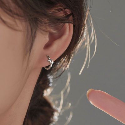 s925银针双十星星耳圈耳骨钉耳环轻奢独特高级耳扣冷淡风气质耳饰送女朋友老婆情人节七夕生日礼物