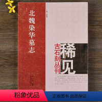 [正版]北魏染华墓志 尚晓周 稀见古石刻丛刊 繁体译文 楷书毛笔字帖书法成人学生临摹碑帖古帖拓本鉴赏书籍 河南美术出版