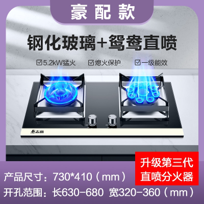 志高(CHIGO)煤气灶双灶燃气灶家用嵌入式天然气灶台式液化气灶猛火灶炉具_豪配钢化面大炉架鸳鸯_天然气
