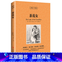 [正版] 双语名著 茶花女 读名著 学英语 中文版+英文版 中英文对照 双语读物 世界名著英语图书 经典文学小说 法国