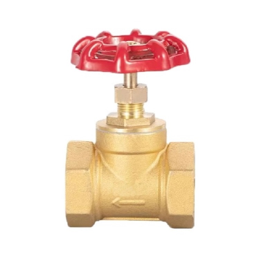 智铮朗月 铜截止阀 DN20 个