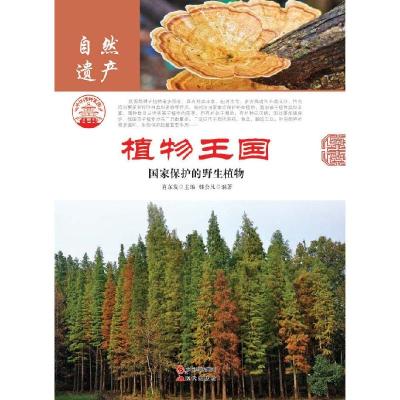 正版新书]时逸人学术评传(大字版)张镜源9787500267737