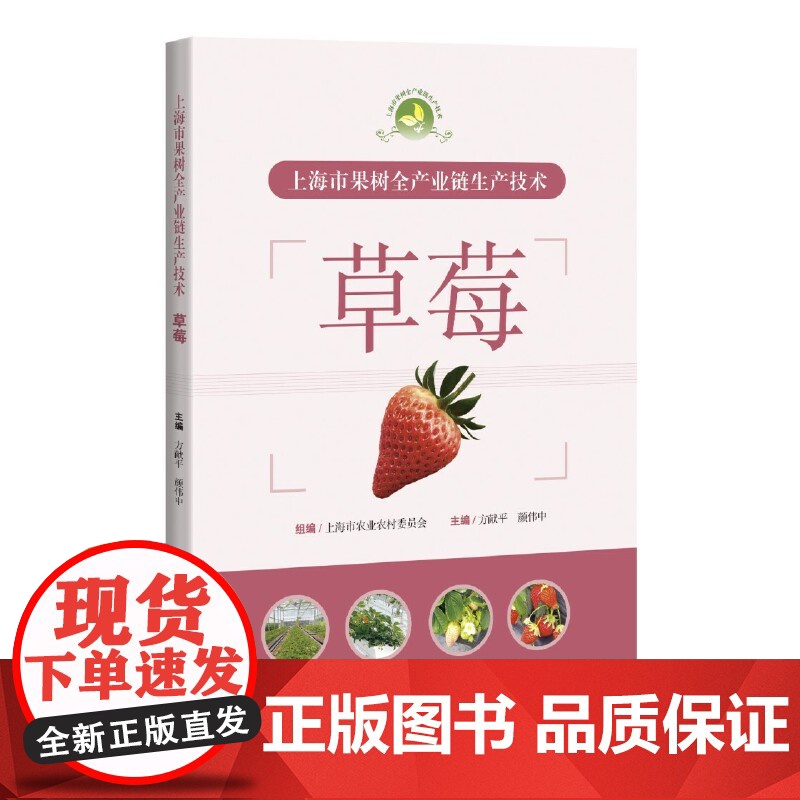 上海市果树全产业链生产技术:草莓