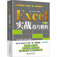音像Excel实战技巧精粹 第2版ExcelHome