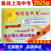 2024灿烂在六月 中考精编 数学 [正版]2025版 灿烂在六月 上海市新中考模拟强化测试精编 数学 中西书局 不含答