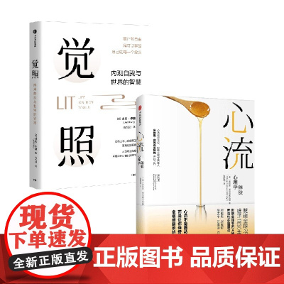 觉照+心流 米哈里·契克森米哈赖 著 励志与成功