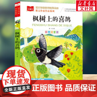 枫树上的喜鹊郭风著课文作家作品彩图注音版一二三年级小学生必课外阅读书籍带拼音配套人教版教材训练老师寒暑假上下册正版