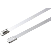 万梓 不锈钢扎带 10*550mm 根