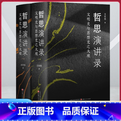 哲思演讲录:文明史与思想史之大观 [正版]哲思演讲录:文明史与思想史之大观 王东岳系列讲座的文稿 内容涉及天文地理人文生